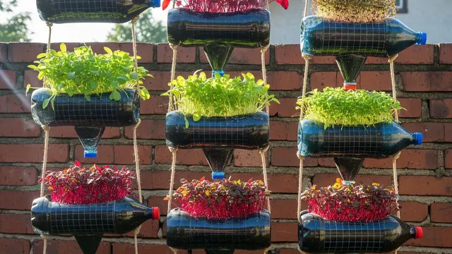 Ide Kebun Vertikal dari Galon Air Mineral Bekas. AI