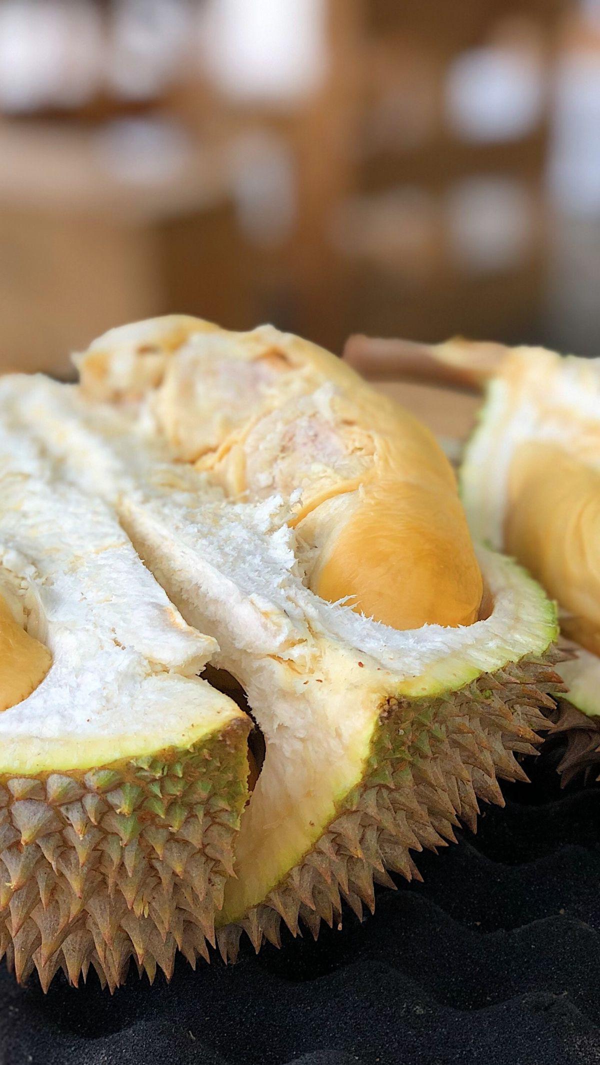 Menyusui adalah momen penting dalam perjalanan ibu setelah melahirkan, yang membutuhkan perhatian khusus terkait pola makan dan konsumsi makanan. Di antara berbagai jenis makanan, durian, buah eksotis yang terkenal dengan rasa lezat dan aroma khasnya, ser