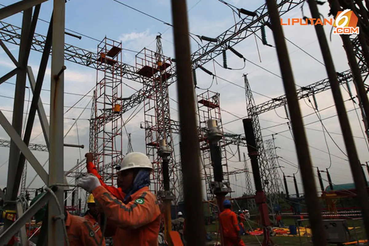 pln-130619b.jpg
