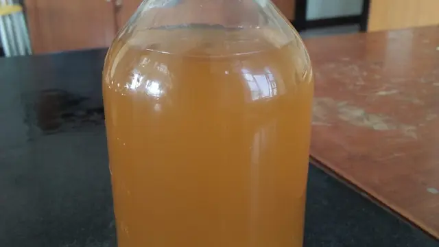 Hasil Fermentasi Eco Enzim