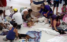 Ribuan kucing & anjing diberi vaksin rabies