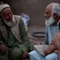 Film Walnut Tree (Istimewa)