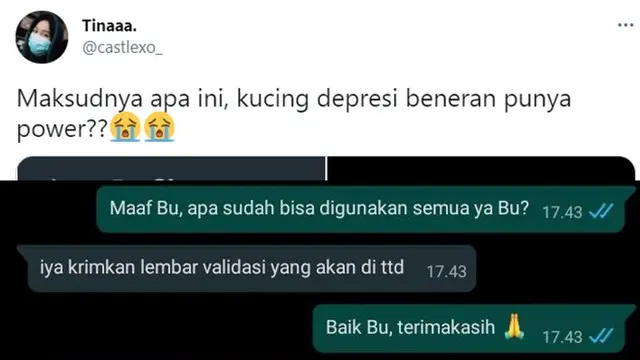 Pasang Foto Begini di WhatsApp, Skripsi Mahasiswa Ini Langsung Disetujui Dosen