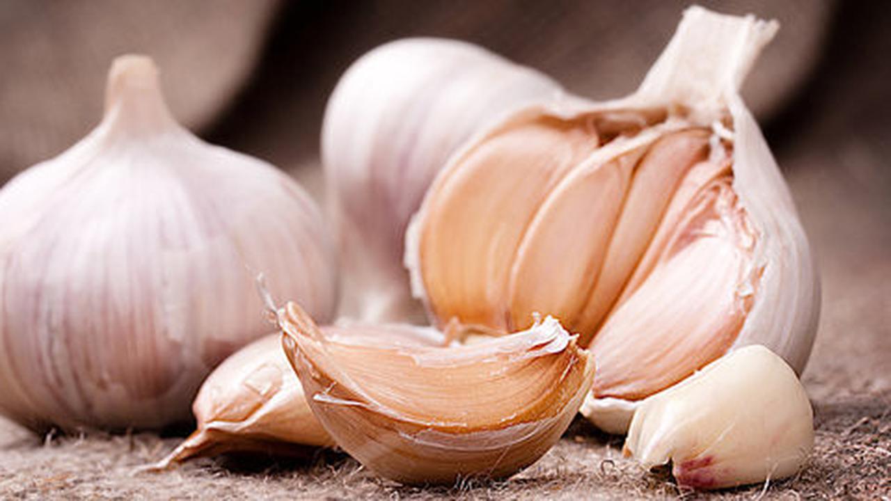 Makan bawang putih, kunci alami cegah kanker payudara sejak dini