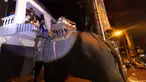 Seekor gajah menyeberangi banjir untuk membantu membawa pasokan bantuan kepada penduduk desa di Provinsi Chiang Mai, Thailand, Minggu, 6 Oktober 2024. (AP Photo/Wason Wanichakorn)