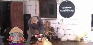 Tempat Sabun Unik untuk Kamar Mandi