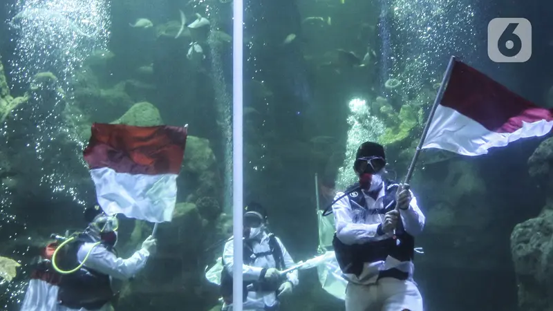 FOTO: Gladi Resik Pengibaran Bendera Dalam Akuarium Sea World Ancol