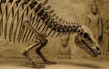 Daftar Penyakit yang Sering Dialami Dinosaurus saat Hidup