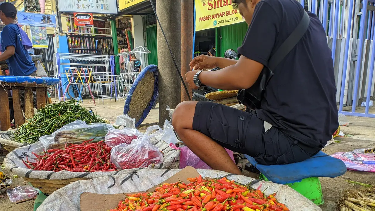 Berbagai Jenis Cabai (Liputan6.com/Satrya Bima Pramudatama)
