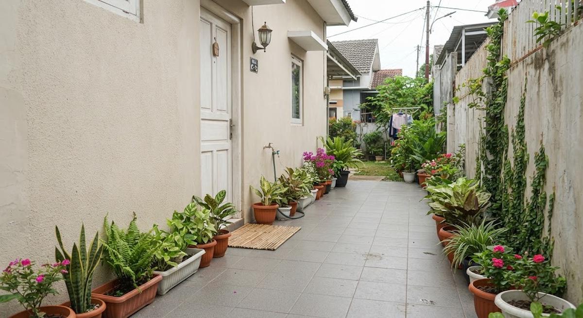 Cara mengubah lorong sempit menjadi taman hijau dengan hasil akhir rumah seperti di surga dengan menggunakan pot berukuran kecil