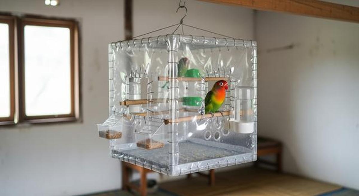 8 Desain Kandang Lovebird dari Botol Bekas, Kreatif dan Hemat Biaya