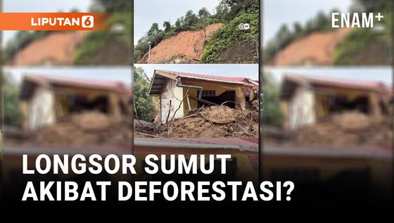 Kerugian Longsor di Sumatera Utara, Akibat Deforestasi?