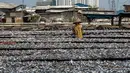 Seorang pekerja menjemur ikan saat proses pengasinan di kawasan Muara Angke, Jakarta, Senin (26/11). Nelayan mengaku produksi ikan asin mengalami penurunan, disebabkan terhambatnya proses pengeringan di musim hujan. (Liputan6.com/Faizal Fanani)