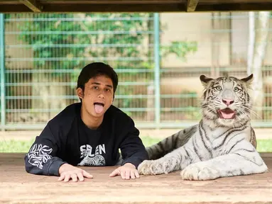 Alshad Ahmad, yang akrab dengan hewan peliharaannya harimau putih yang diberi nama Selen. Alshad dengan santainya berpose dengan Selen. (Foto: Instagram/@alshadahmad)