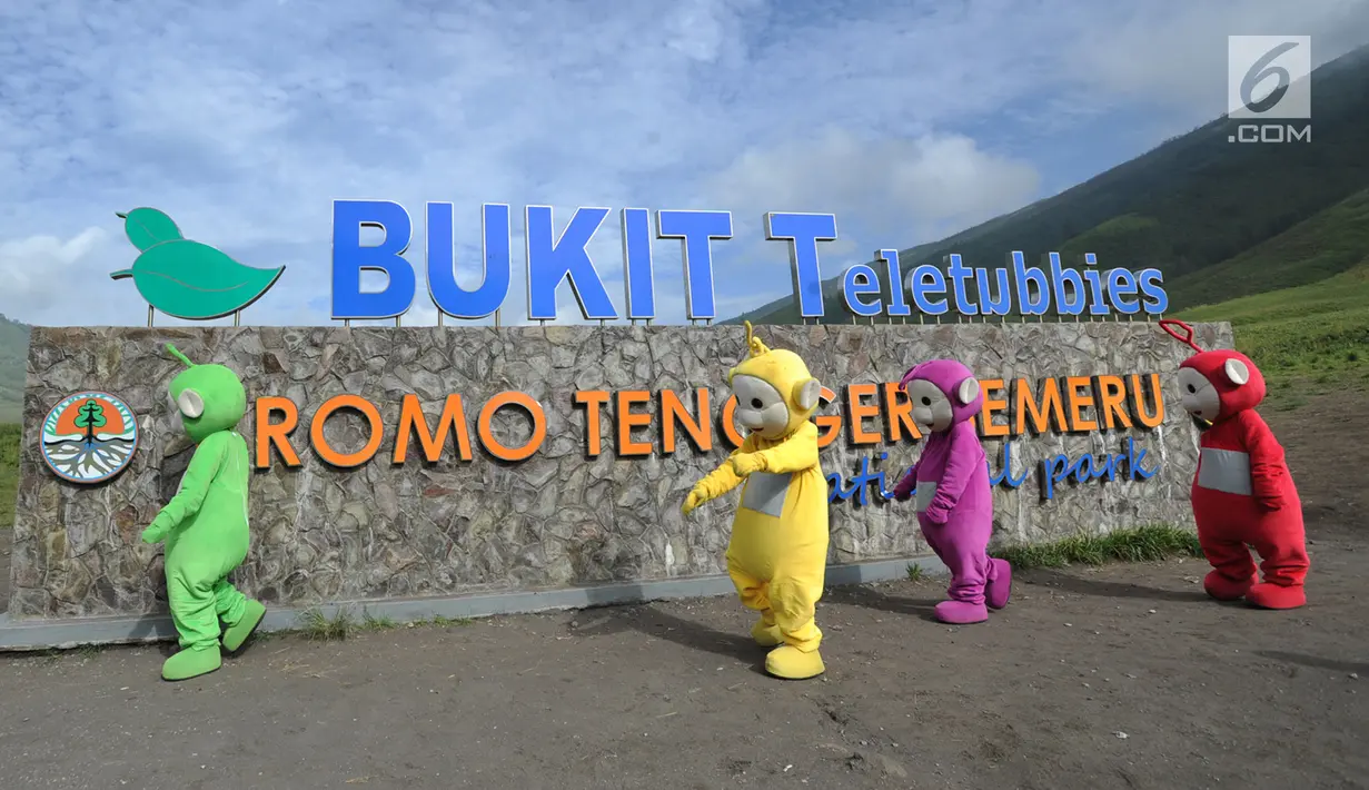 Warga berkostum teletubbies berjalan menghibur wisatawan di Bukit Teletubies kawasan Taman Nasional Bromo Tengger Semeru (TNBTS), Jawa Timur, Selasa (26/3). Kegiatan yang berlangsung sejak sekitar 1,5 bulan lalu ini dilakukan warga asli Tengger dengan seizin pihak TNBTS. (merdeka.com/Arie Basuki)