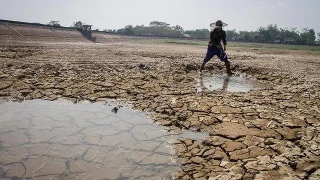 Pengamat Nilai Program Kementan untuk Antisipasi El Nino Sudah Tepat