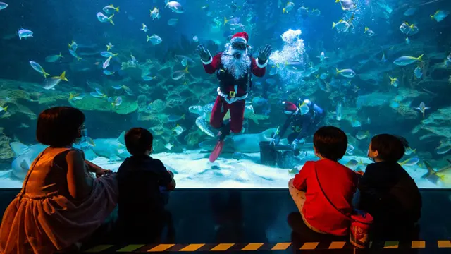FOTO: Sambut Natal, Sinterklas Beri Makan Ikan di Aquaria KLCC Malaysia