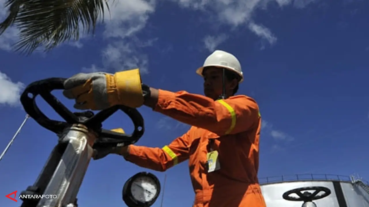 medco130325b.jpg