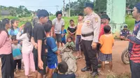 Aksi Nelayan di Lampung Duel Lawan Buaya saat Perbaiki Jaring, Tangan Luka Serius