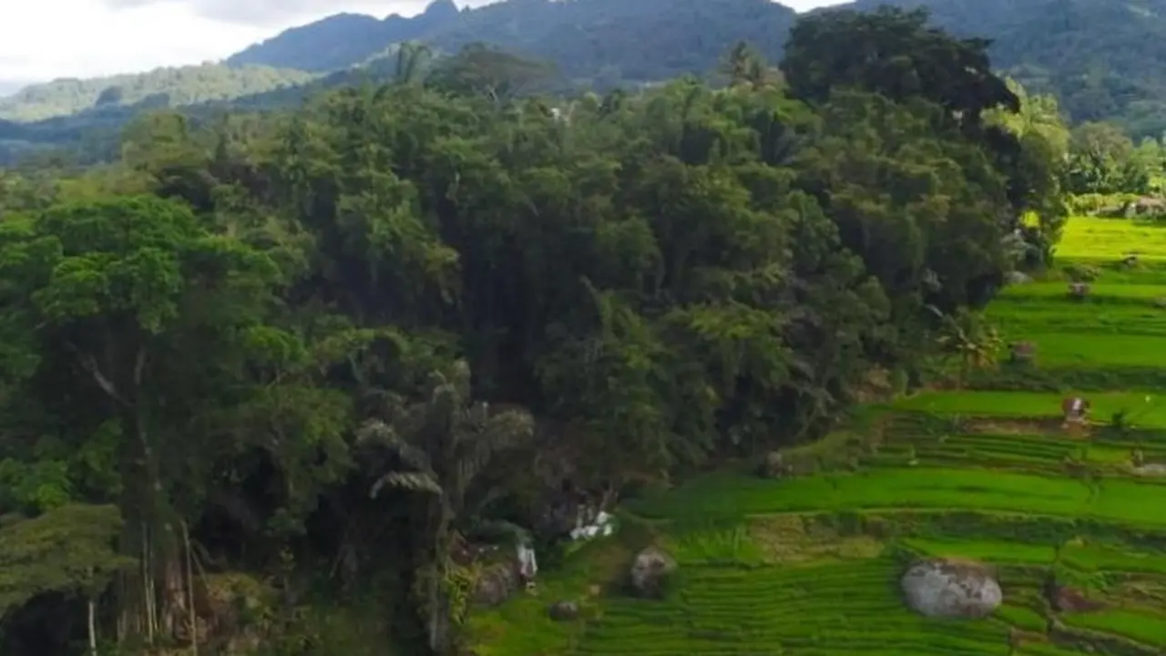 Desa Wisata Kole Sawangan