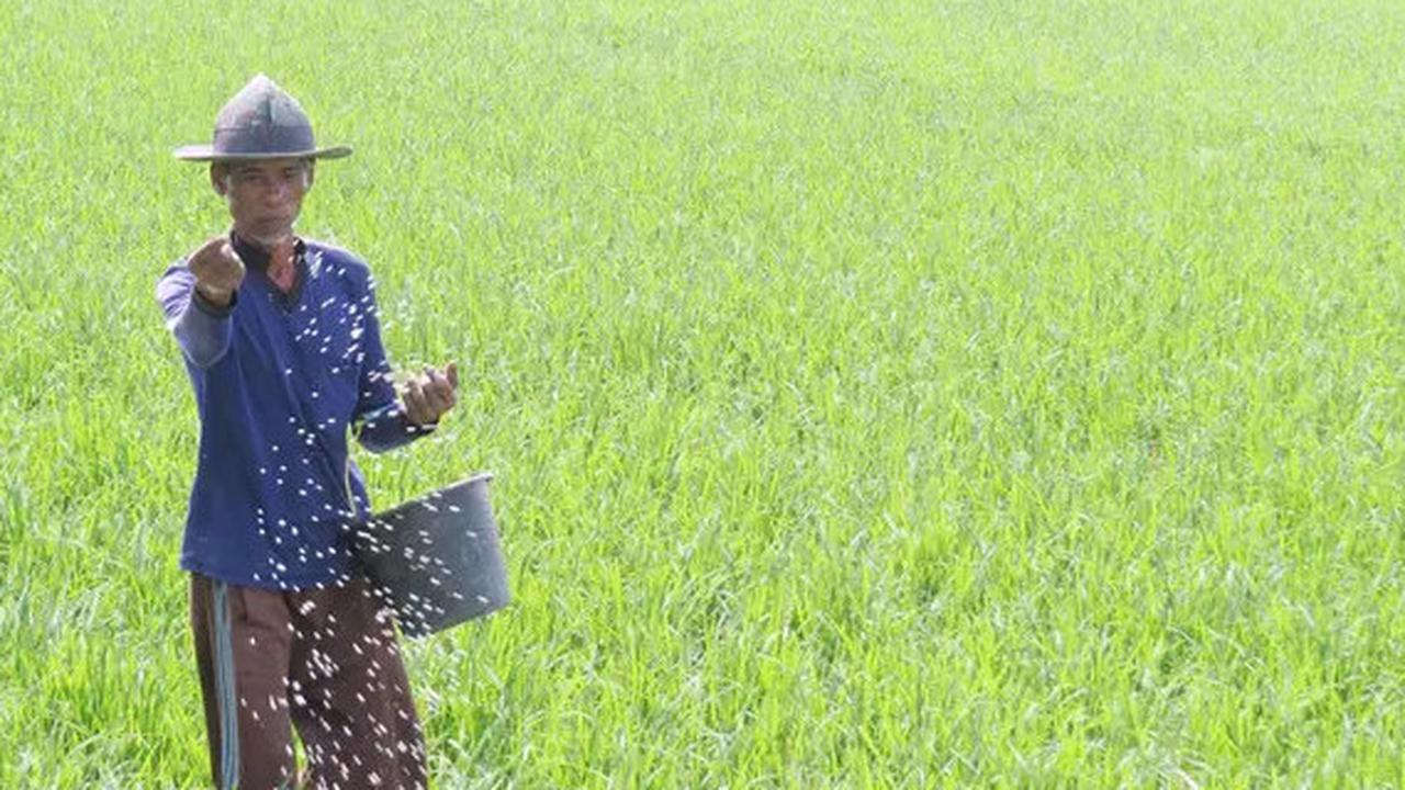 Petani Indonesia Tetap Miskin Meski Harga Pangan di Pasar Terus Naik, Pendapatan Setahun Cuma Rp5,4 Juta