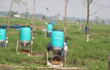 Kronologi Dugaan Penggelapan eFishery Mencapai Rp9,7 Triliun