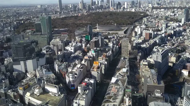 Menatap Shibuya dari Ketinggian 230 Meter di Atas Tanah