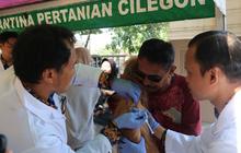Fakta Unik: 73 Hewan Penular Rabies di Banten Divaksin Gratis dalam HUT Karantina ke-148
