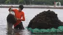 Mereka membudidayakan rumput laut di area seluas dua hektare. (merdeka.com/Imam Buhori)