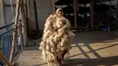 Seorang gadis Afghanistan bekerja di pabrik karpet tradisional di Kabul, Afghanistan, Minggu (5/3/2023). Hari Perempuan Internasional (IWD) adalah hari libur global yang dirayakan setiap tahun pada tanggal 8 Maret sebagai titik fokus dalam gerakan hak-hak perempuan, membawa perhatian pada isu-isu seperti kesetaraan gender, hak reproduksi, dan kekerasan dan pelecehan terhadap perempuan. (AP Photo/Ebrahim Noroozi)