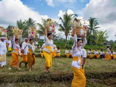 Para wanita yang mengenakan pakaian adat menjunjung sesajen di atas kepala mereka dalam ritual Hindu Bali bernama Usaba Sri di Karangasem, Bali, Senin, 10 Agustus 2026. (Foto AP/Firdia Lisnawati)