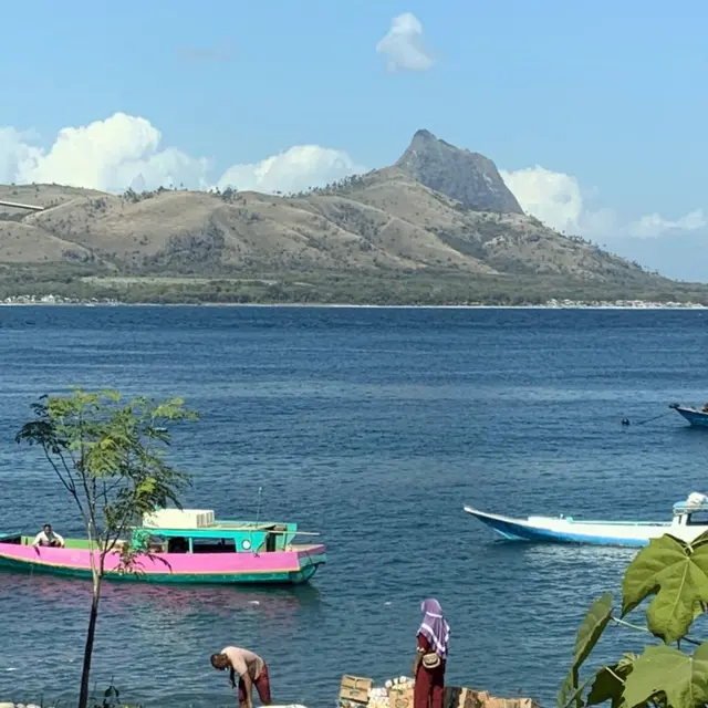 Puncak Poco Kepi di Pulau Mules, Flores, NTT, memiliki ketinggian 566 mdpl. (Dok: Gunung Bagging/ https://www.gunungbagging.com/mules/)