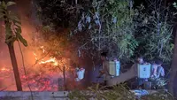 Bakar Rayap di Pohon Mati, Pria di Batam Jadi Tersangka Kebakaran Lahan 10 Hektare