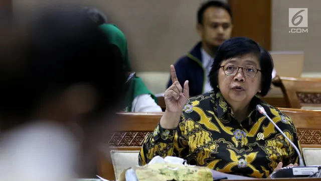 Menteri LHK Bahas Isu Tambang dan Sampah Plastik Bersama DPR