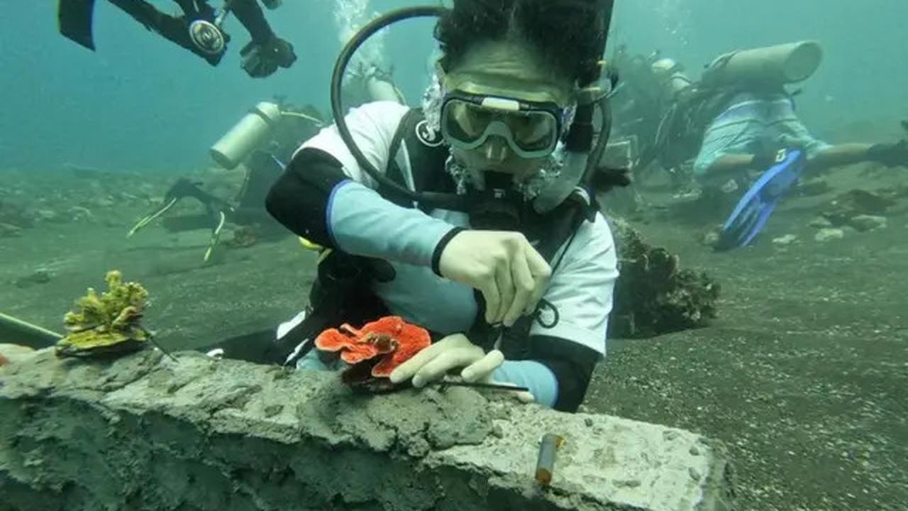 Manusia Ternyata Baru Lihat 0,001 Persen Dasar Laut Bumi