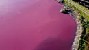 Pemandangan udara dari laguna yang berubah menjadi merah muda karena limbah industri perikanan, di provinsi Patagonian, Chubut, Argentina, pada 23 Juli 2021. Beberapa perusahaan mengaku diizinkan untuk membuang limbah ke laguna tersebut. (DANIEL FELDMAN / AFP)