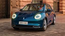 Tampilan depan mobil ini terlihat seperti mengadopsi elemen-elemen desain mobil lain. Terdapat unsur Porsche, VW Beetle, dan Mini di facia ORA Good Cat. Grill yang digunakan hanya berukuran kecil yang terletak di bagian bumper. Teknologi Active Grill yang digunakan dapat membuka atau menutup tergantung seberapa banyak udara yang dibutuhkan. (Source: drive.com.au)