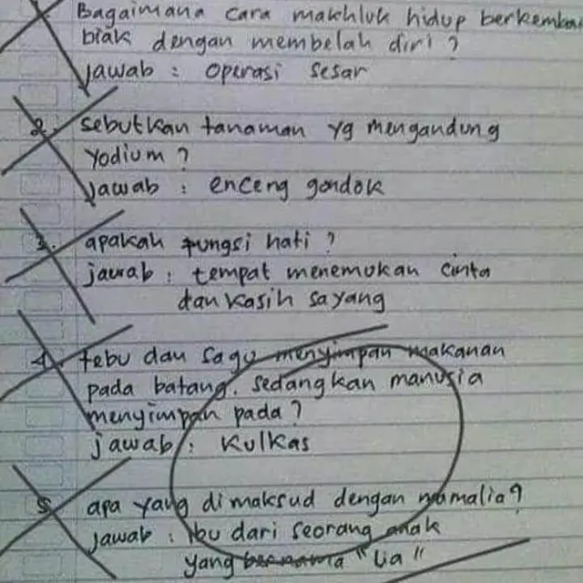 6 Potret Hasil Ulangan IPA Murid Dapat Nilai 0 Ini Bikin Guru Elus Dada