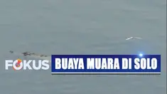 Sebagian warga desa menganggap kemunculan buaya yang dikenal ganas itu tidak berbahaya.