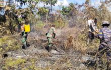 FOTO: TNI AL Tangani Kebakaran Lahan di Perbatasan Sambas
