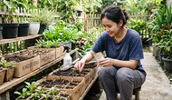 Cara Memanfaatkan Kardus Bekas Sebagai Media Semai Sayuran, Tips Berkebun Murah di Rumah