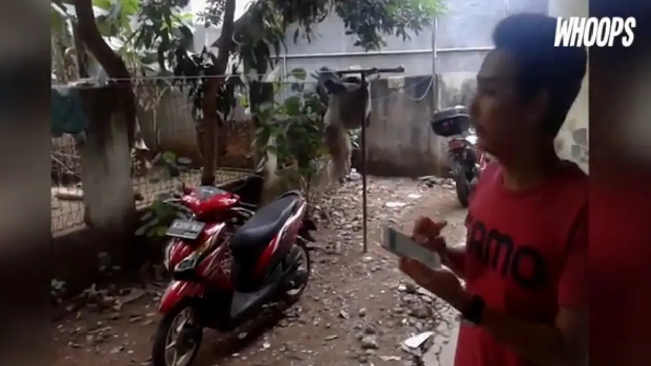 Tony Stark asal Bekasi
