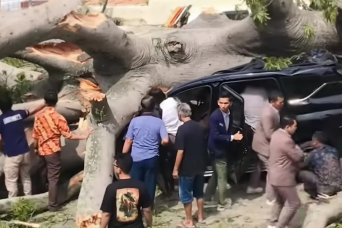 Pohon tumbang timpa dua kendaraan minibus di Hotel Bandar Lampung.