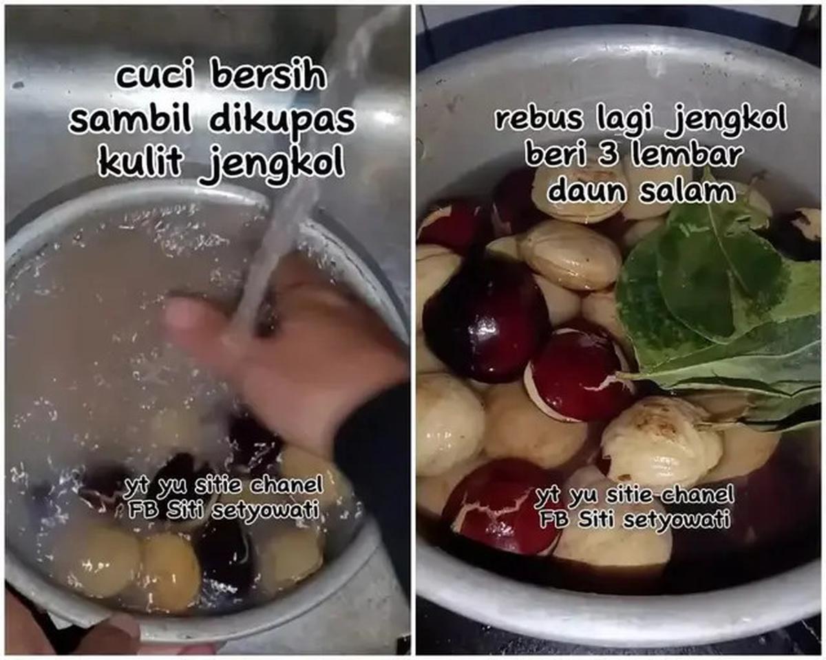 Cara Merebus Jengkol Agar Empuk dan Bebas Bau dalam 30 Menit dengan 2 Bahan Rahasia Ini
