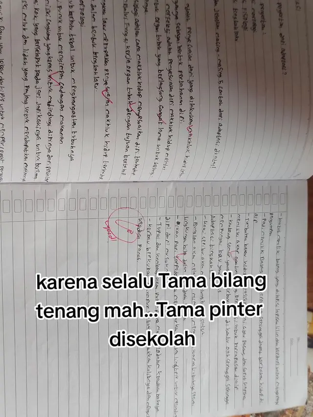 Potret Video TikTok Ibu Tama (TikTok/@mamahtama17)