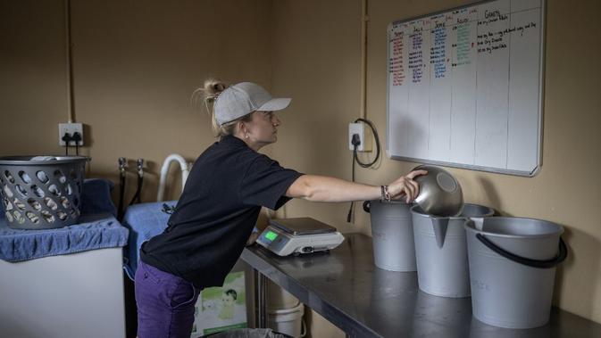 Relawan Sarah Fox (31) menyiapkan dosis susu untuk anak badak di Panti Asuhan Badak di lokasi yang dirahasiakan dekat Mokopane, Provinsi Limpopo, Afrika Selatan, 9 Januari 2021. Pengasuh dan relawan tinggal bersama anak badak yang mereka rawat. (Michele Spatari/AFP)
