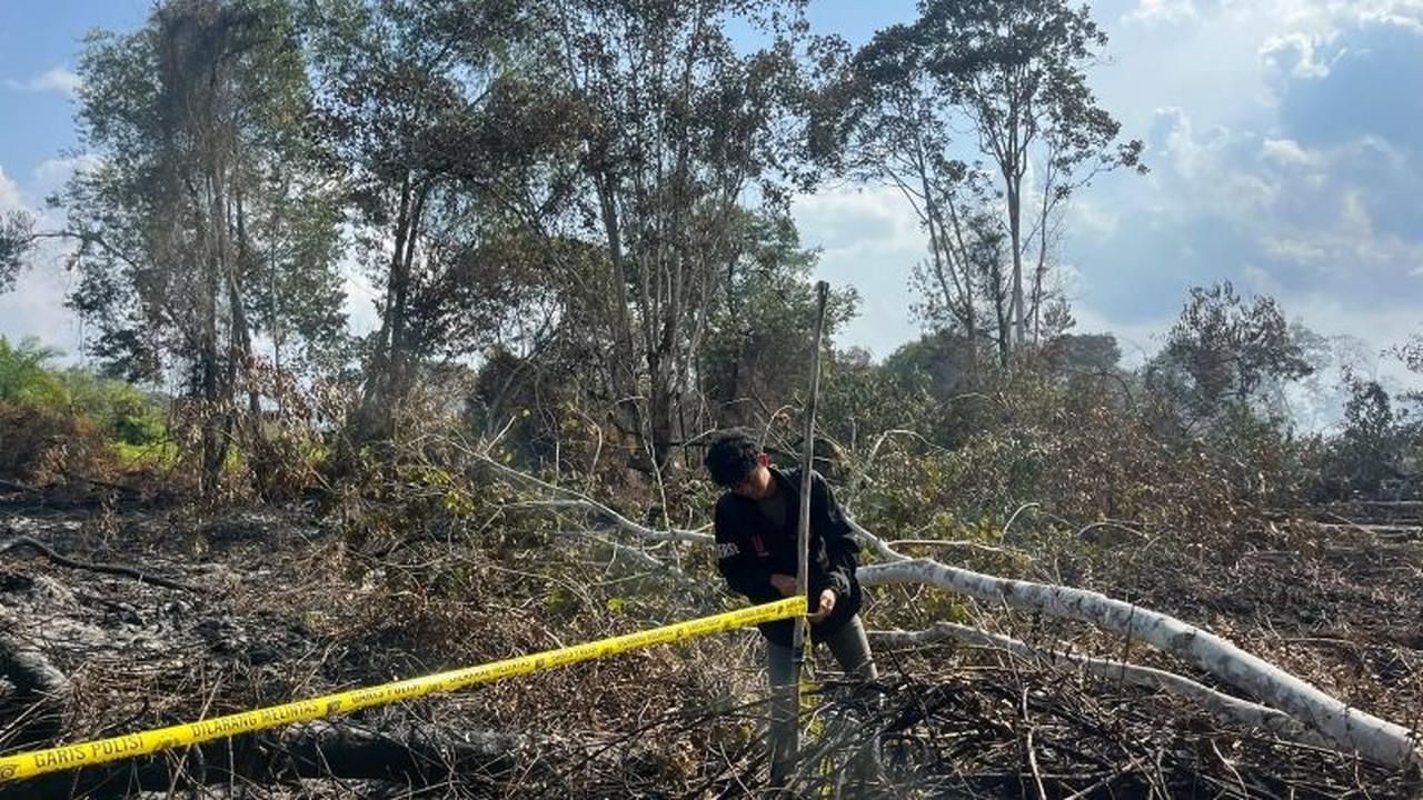 Polres Pelalawan Tetapkan S sebagai Tersangka Pembakar Lahan Hutan untuk Sawit
