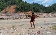 Jembatan Putus Sibio-bio: Warga Tapteng Terpaksa Terobos Sungai Deras Angkut Hasil Pertanian