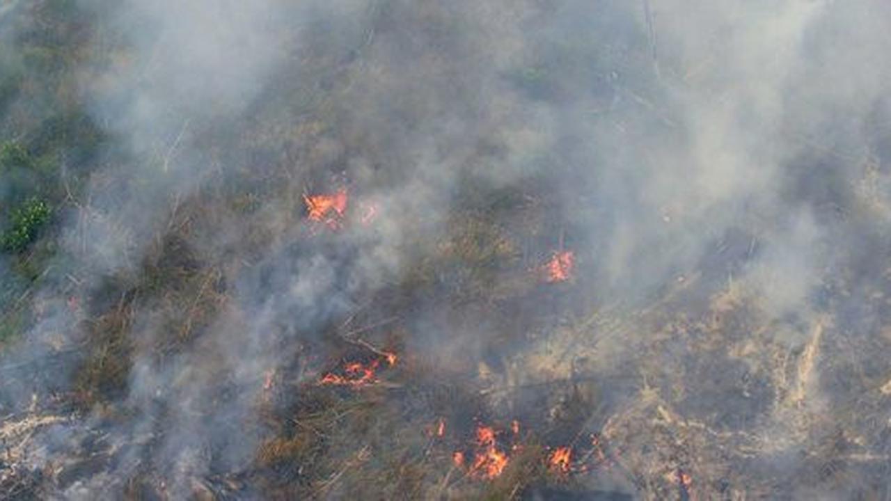 Lingkaran setan kebakaran lahan, mampukah hukum seret konglomerat?