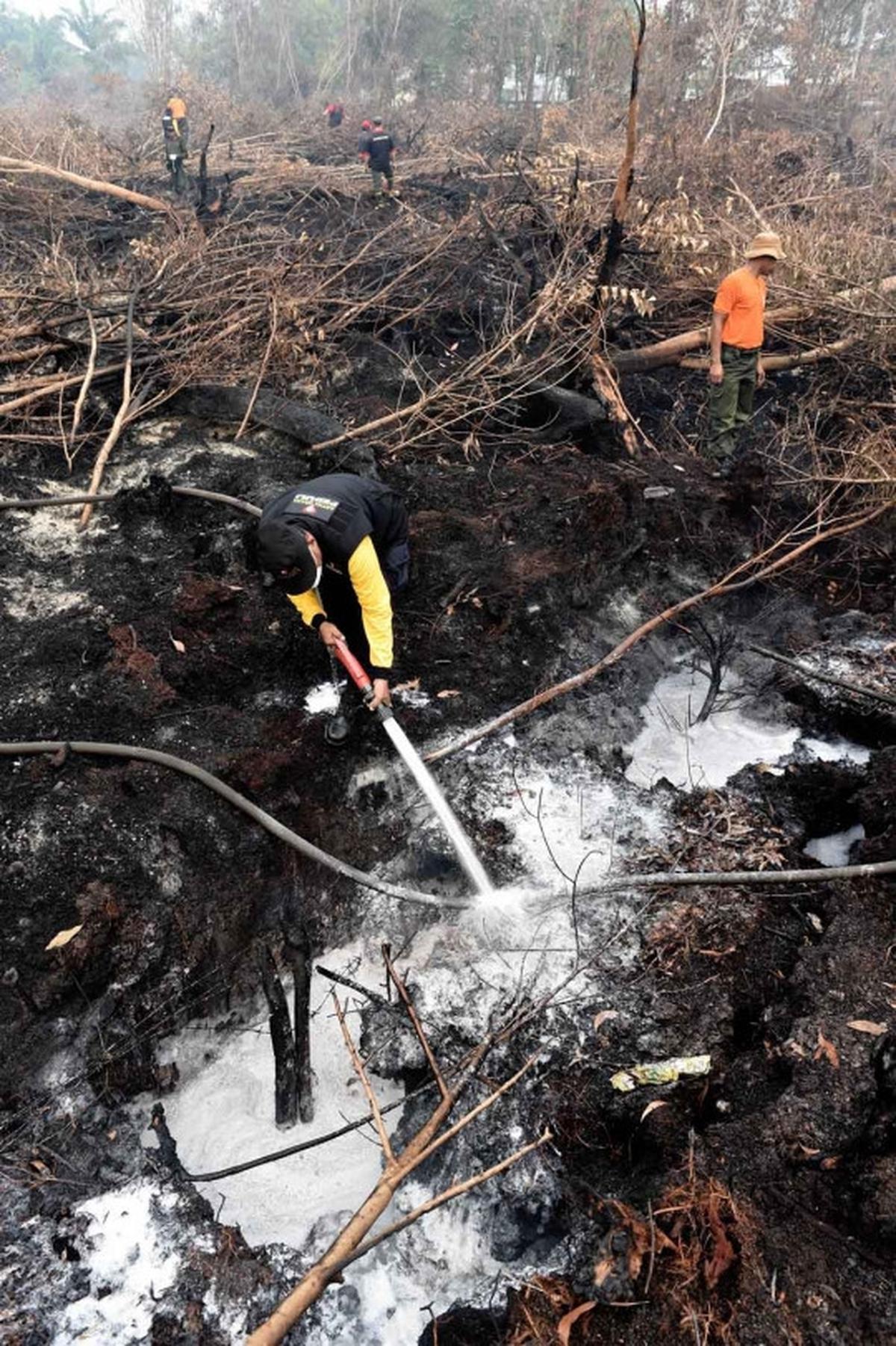 Melihat lebih dekat pemadaman kebakaran hutan Palangkaraya